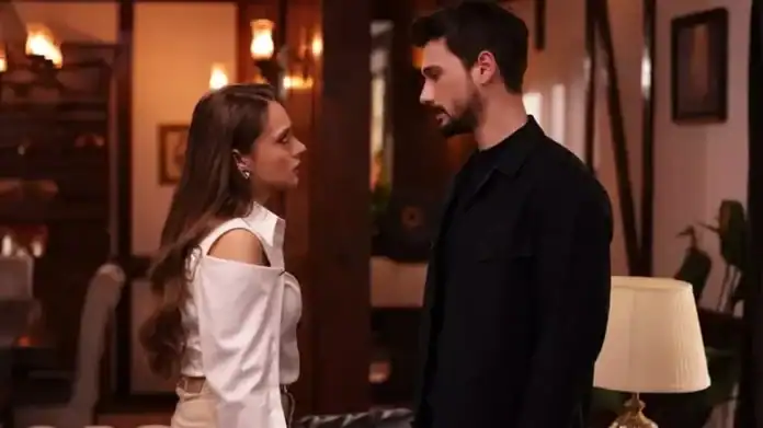 NOW TV, Hudutsuz Sevda (Halo) Dizisini Yayından Kaldırdı