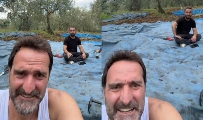 Şehir Hayatından Uzaklaşan Timur Acar, İznik’te İlk Zeytin Hasadını Yaptı!
