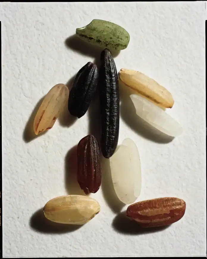 Magnezyum Eksikliği Belirtileri Vücudunuzun Sessiz Çığlığı – 5 Kritik İşaret!