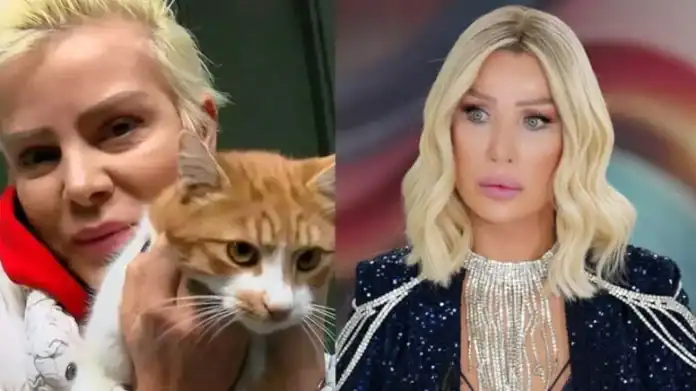 Ekranlarda Tansiyon Yükseldi Seda Sayan ve Ömür Gedik Arasında Kedi Polemiği