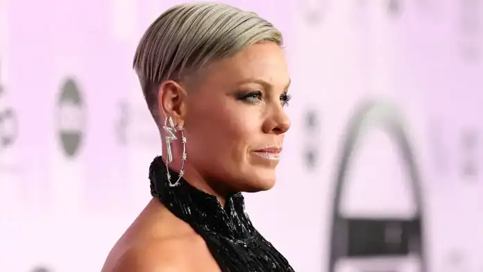 Pink'in İki Büyük Konserine Beklenmedik İptal Kararı