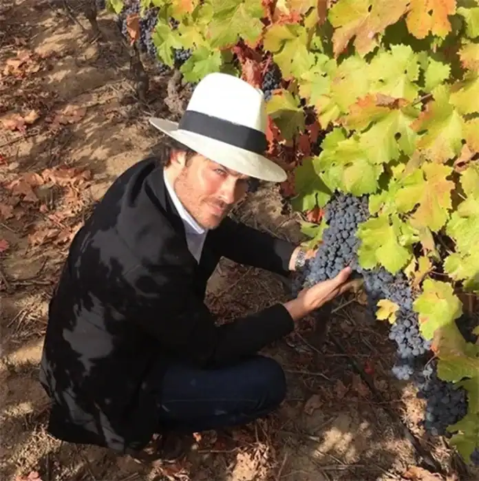 Ian Somerhalder Çiftlik Hayatına Yöneldi